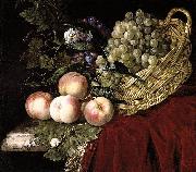 Aelst, Willem van Still Life of Fruit oil painting reproduction